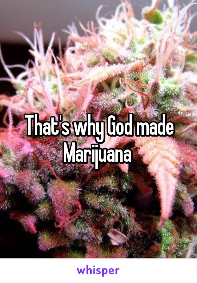 That's why God made Marijuana 