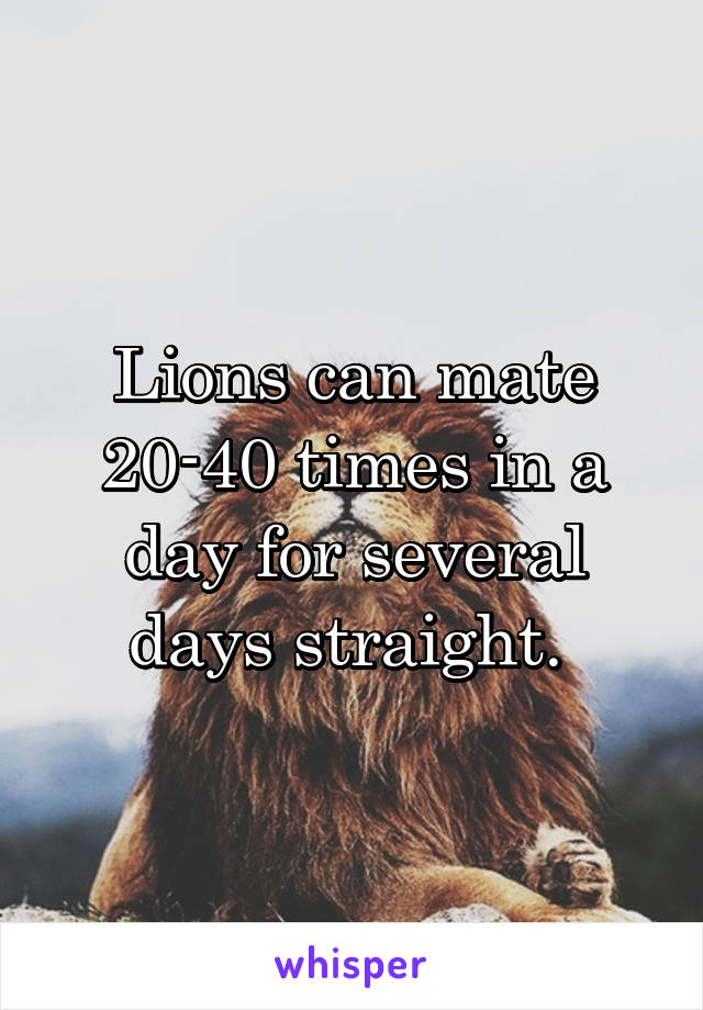 Lions can mate 20-40 times in a day for several days straight. 