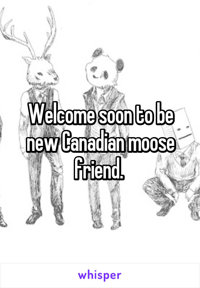 Welcome soon to be new Canadian moose friend. 