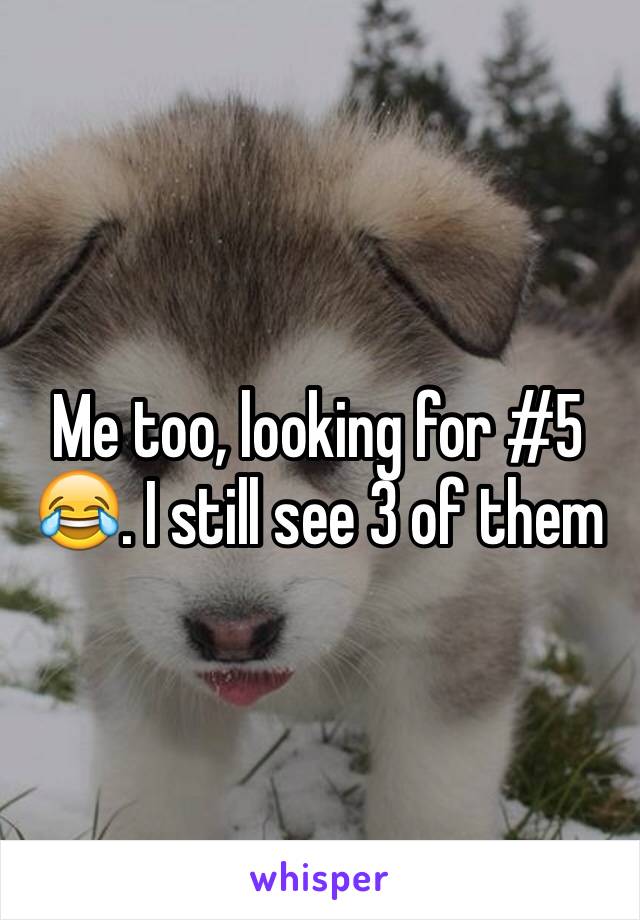 Me too, looking for #5 😂. I still see 3 of them 