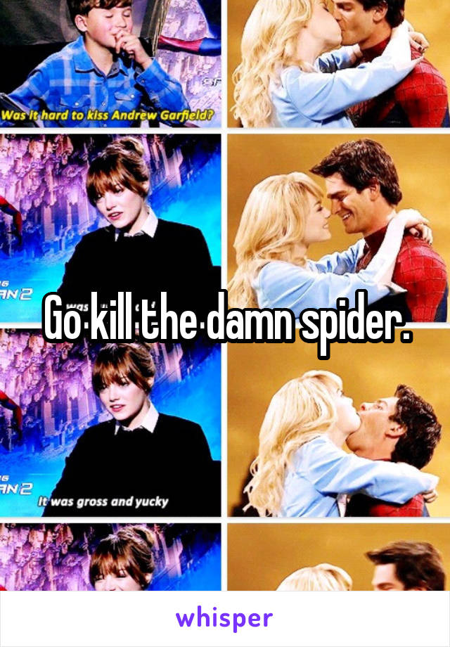 Go kill the damn spider.