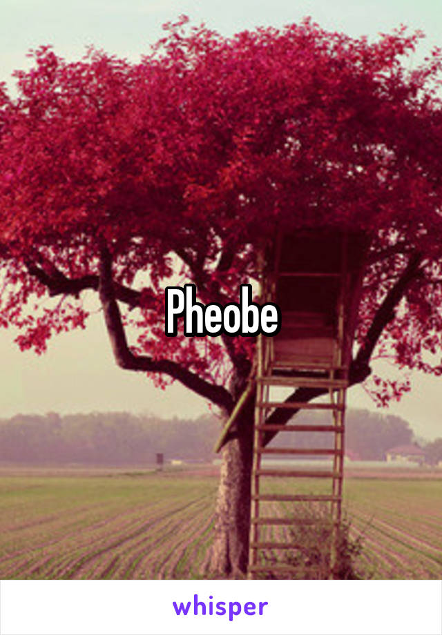 Pheobe