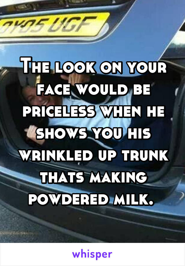 The look on your face would be priceless when he shows you his wrinkled up trunk thats making powdered milk. 