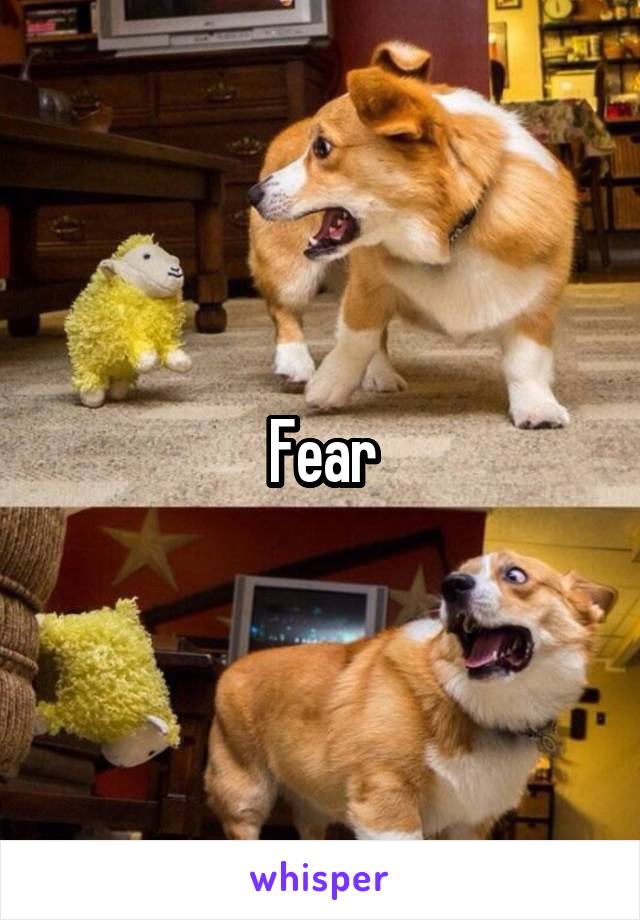 Fear