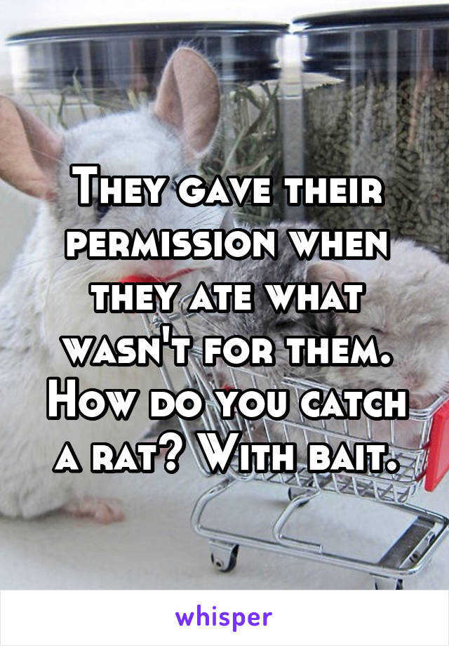 They gave their permission when they ate what wasn't for them. How do you catch a rat? With bait.