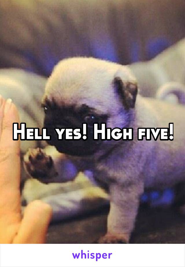 Hell yes! High five!