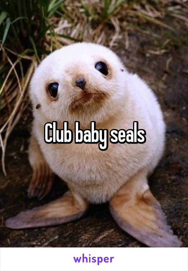 Club baby seals