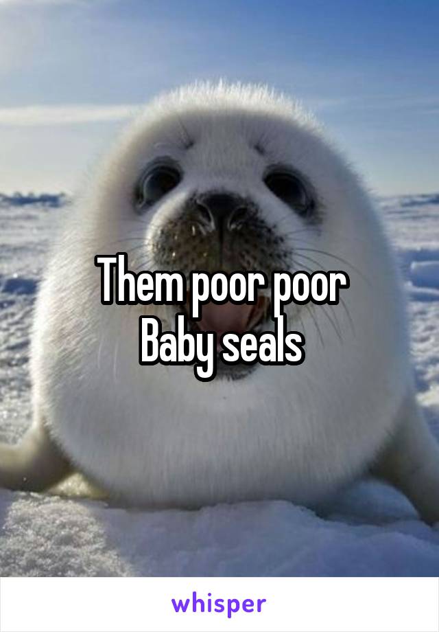 Them poor poor
Baby seals