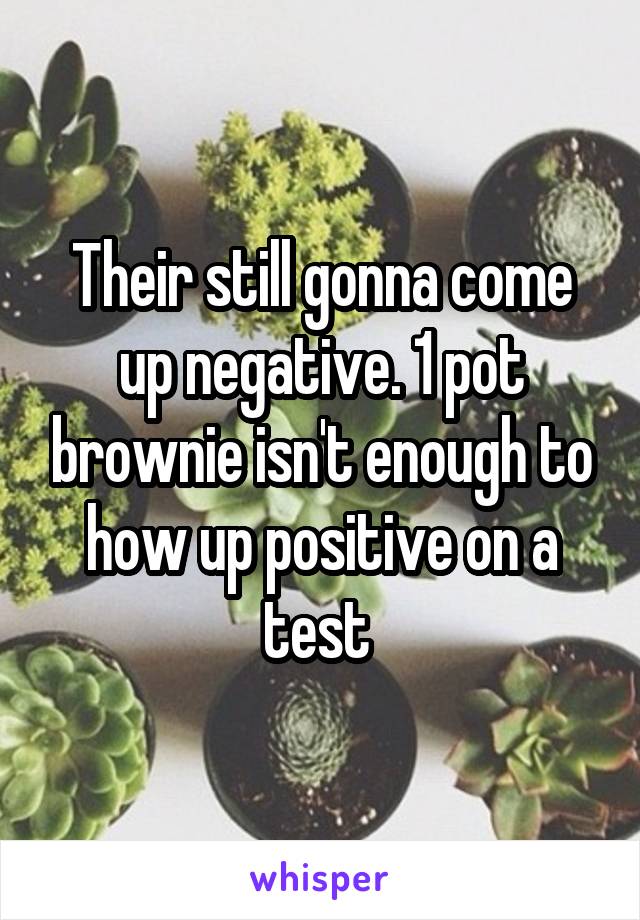 Their still gonna come up negative. 1 pot brownie isn't enough to how up positive on a test 