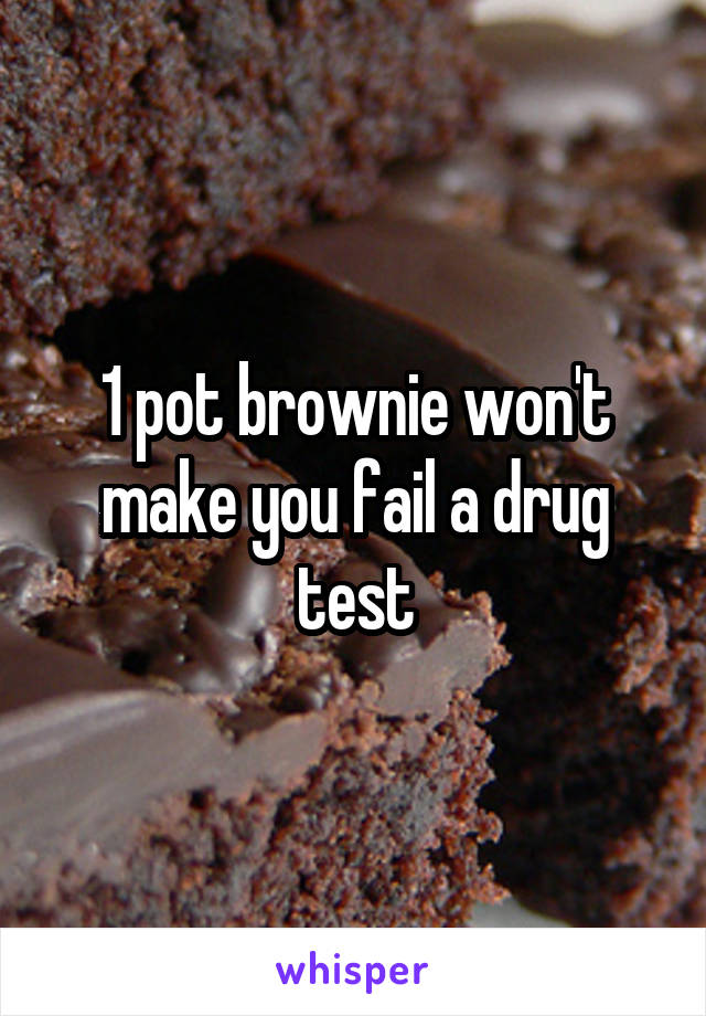 1 pot brownie won't make you fail a drug test