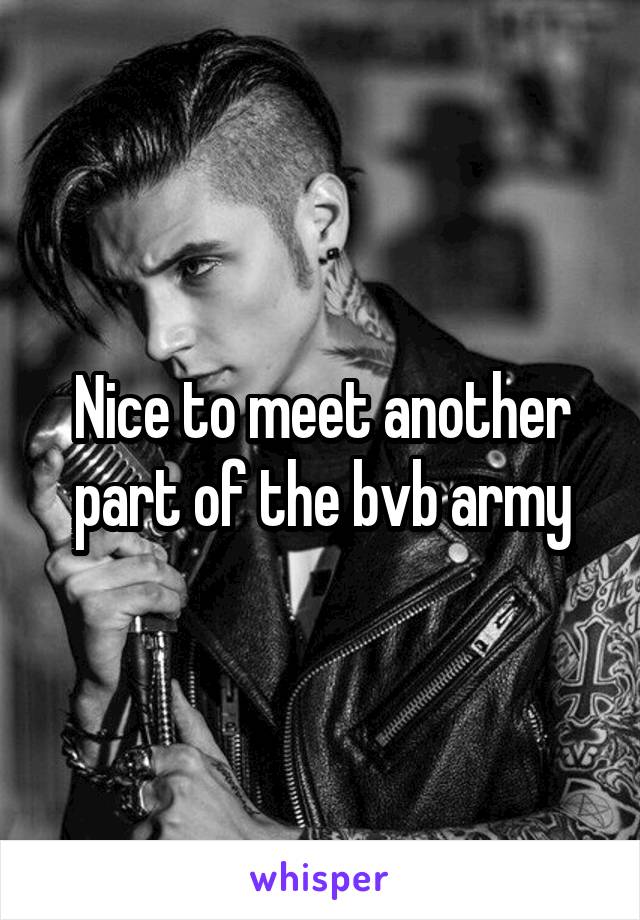 Nice to meet another part of the bvb army