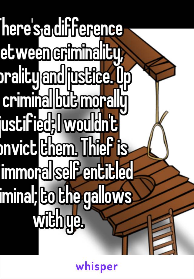 There's a difference between criminality, morality and justice. Op is criminal but morally justified; I wouldn't convict them. Thief is an immoral self entitled criminal; to the gallows with ye.