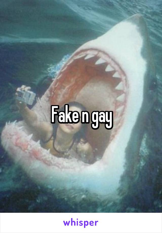 Fake n gay