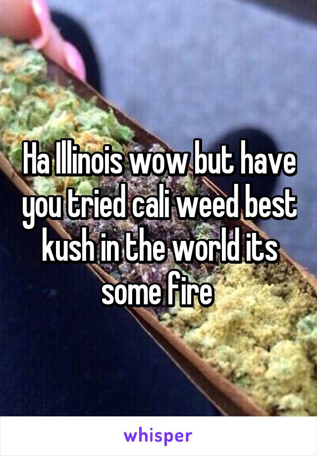 Ha Illinois wow but have you tried cali weed best kush in the world its some fire 