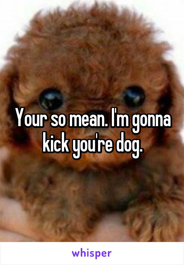 Your so mean. I'm gonna kick you're dog.