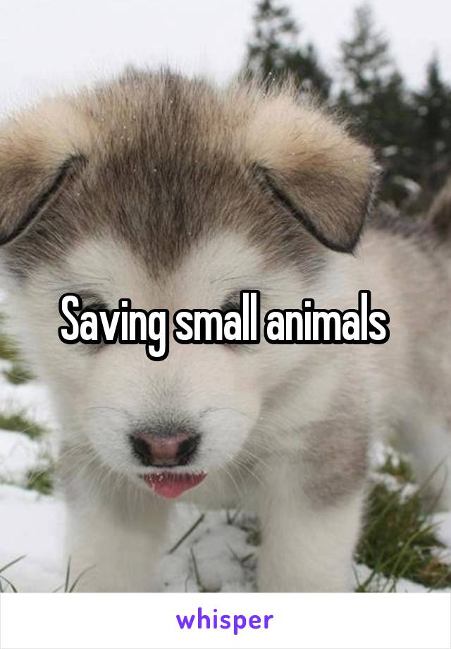 Saving small animals 