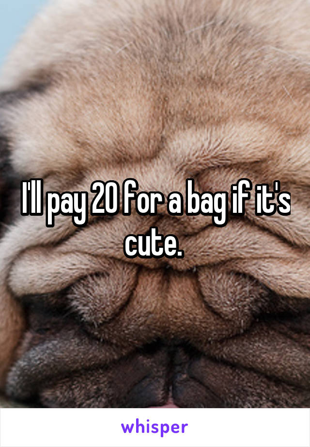 I'll pay 20 for a bag if it's cute. 