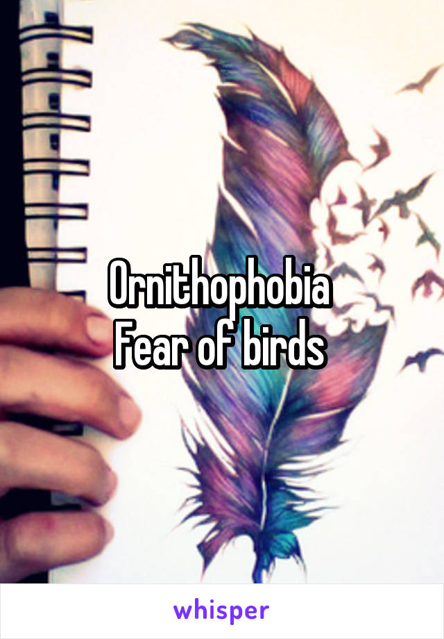 Ornithophobia 
Fear of birds 