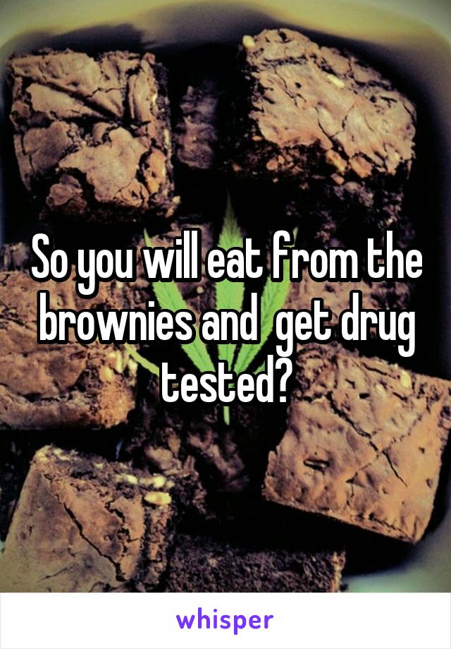 So you will eat from the brownies and  get drug tested?