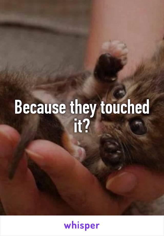 Because they touched it?