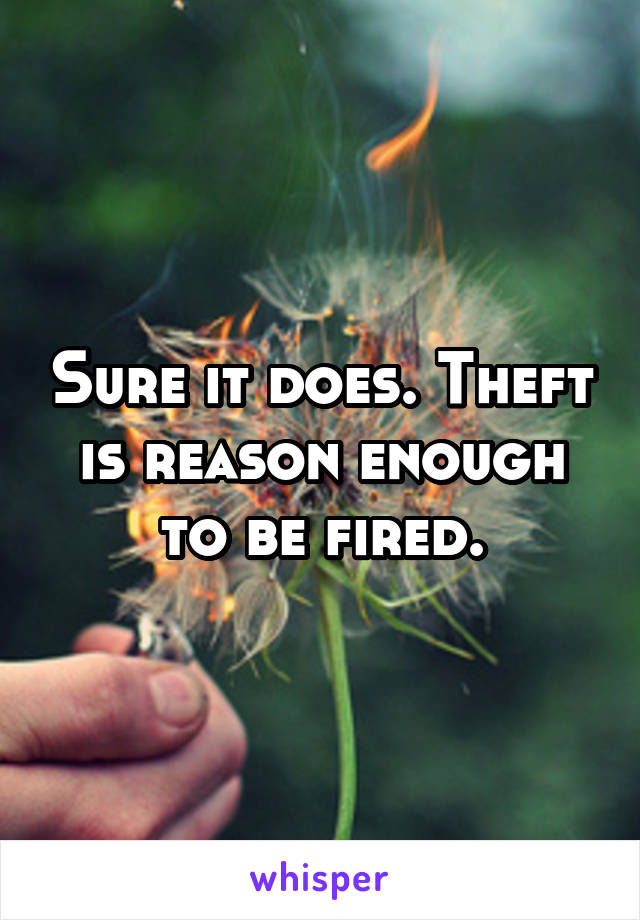 Sure it does. Theft is reason enough to be fired.