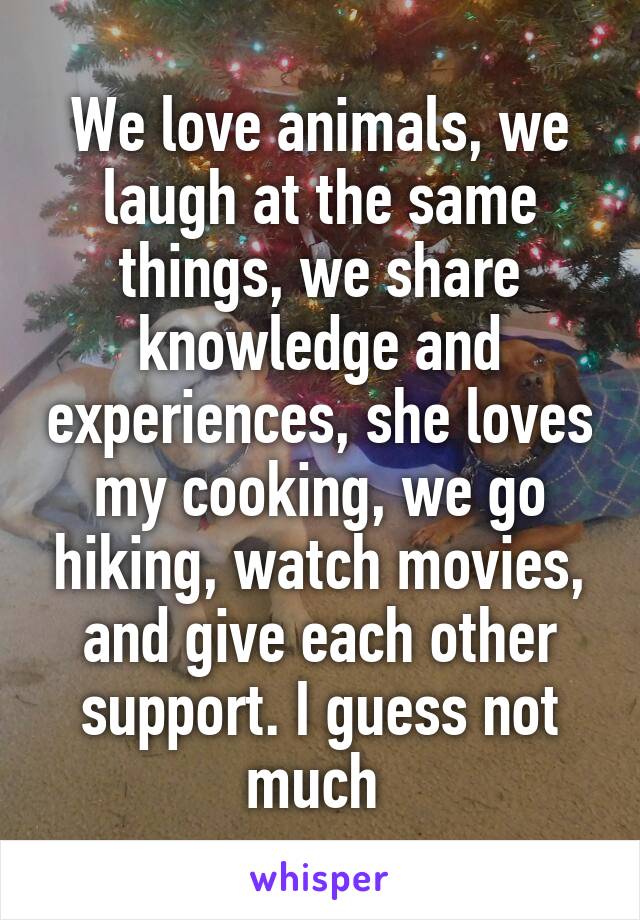 We love animals, we laugh at the same things, we share knowledge and experiences, she loves my cooking, we go hiking, watch movies, and give each other support. I guess not much 