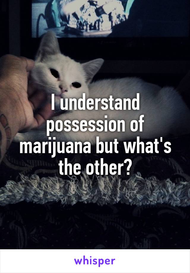 I understand possession of marijuana but what's the other?