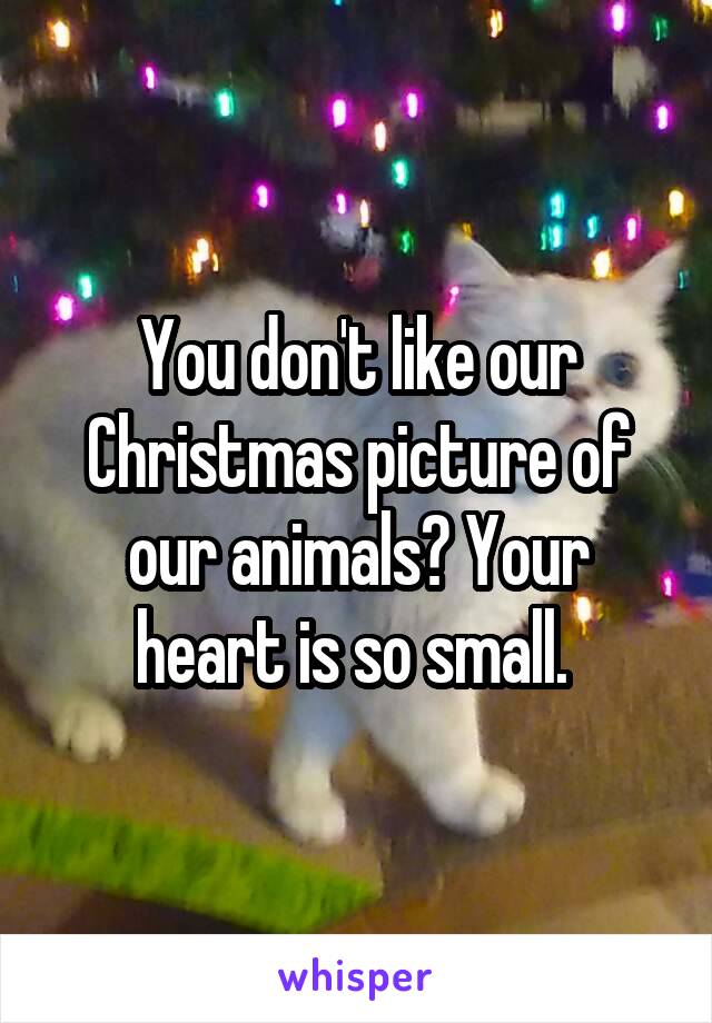 You don't like our Christmas picture of our animals? Your heart is so small. 