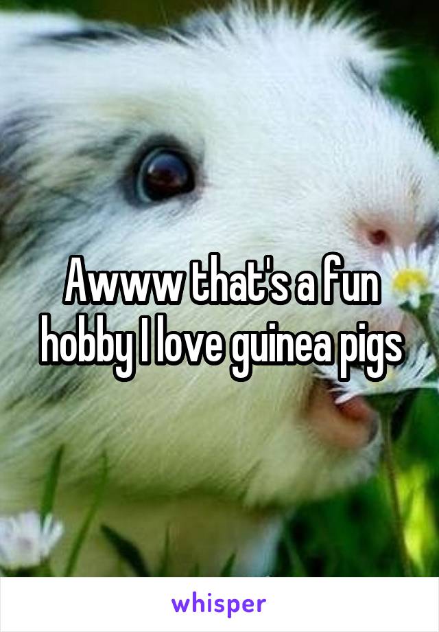 Awww that's a fun hobby I love guinea pigs