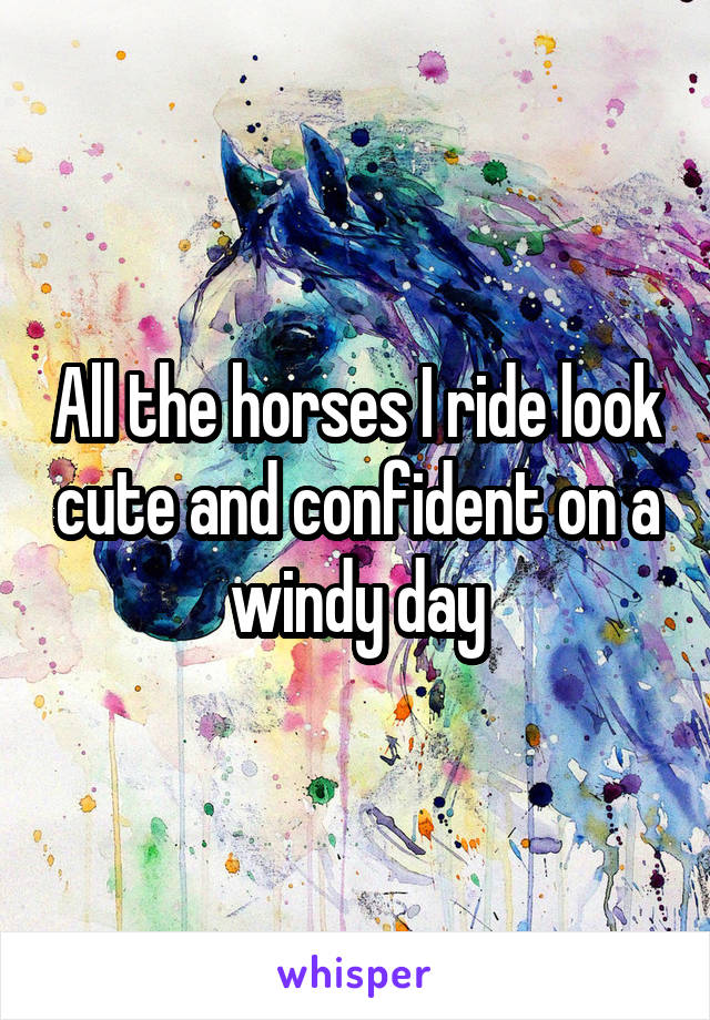 All the horses I ride look cute and confident on a windy day