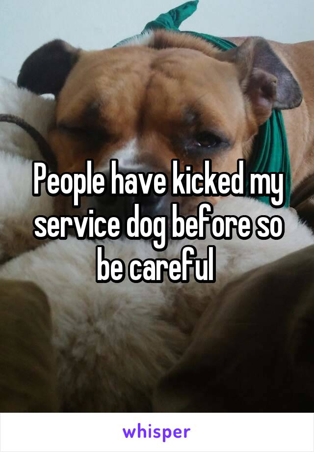 People have kicked my service dog before so be careful 