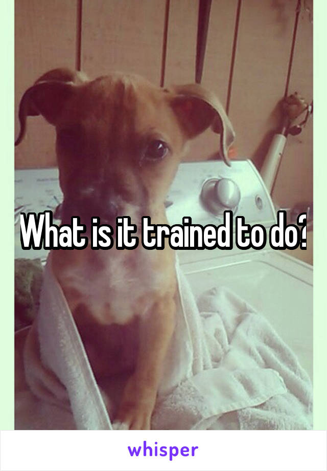 What is it trained to do?