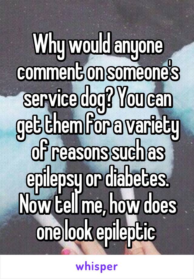 Why would anyone comment on someone's service dog? You can get them for a variety of reasons such as epilepsy or diabetes. Now tell me, how does one look epileptic 
