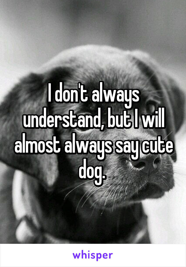 I don't always understand, but I will almost always say cute dog. 
