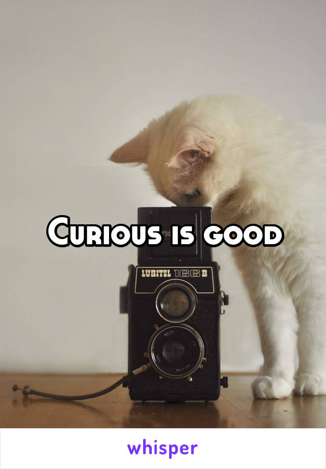 Curious is good