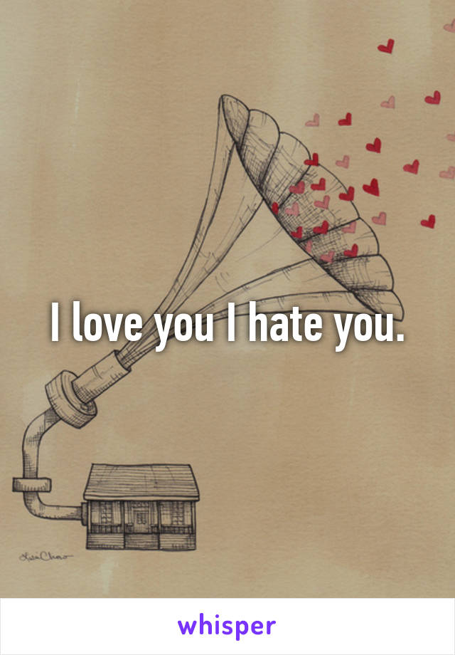 I love you I hate you.