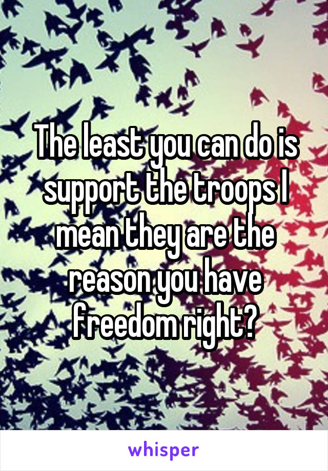 The least you can do is support the troops I mean they are the reason you have freedom right?