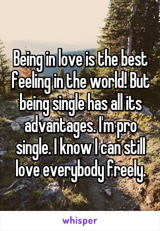 Being in love is the best feeling in the world! But being single has all its advantages. I'm pro single. I know I can still love everybody freely.