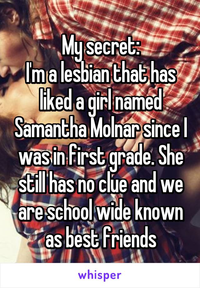 My secret:
I'm a lesbian that has liked a girl named Samantha Molnar since I was in first grade. She still has no clue and we are school wide known as best friends