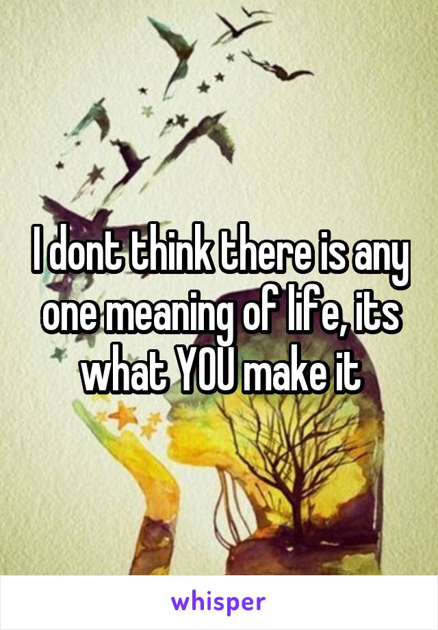 I dont think there is any one meaning of life, its what YOU make it