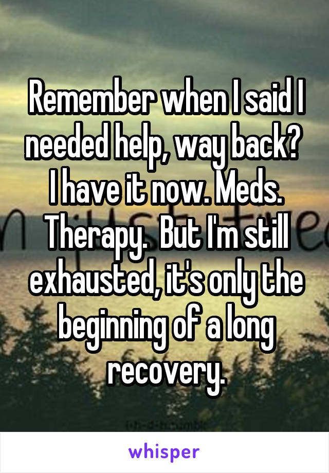 Remember when I said I needed help, way back? 
I have it now. Meds. Therapy.  But I'm still exhausted, it's only the beginning of a long recovery.