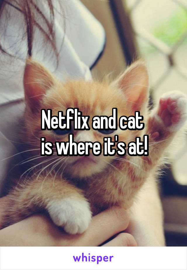 Netflix and cat 
is where it's at!