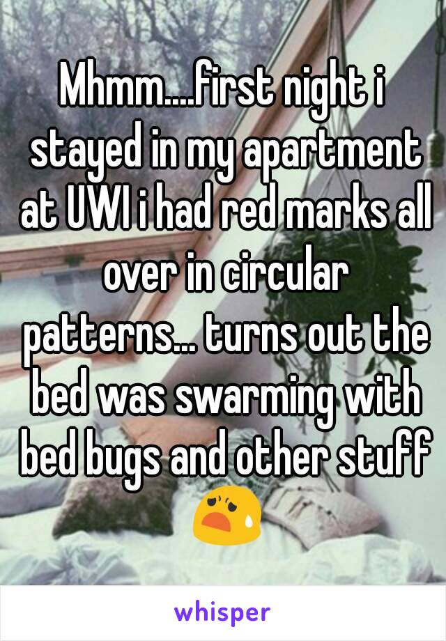 Mhmm....first night i stayed in my apartment at UWI i had red marks all over in circular patterns... turns out the bed was swarming with bed bugs and other stuff 😧