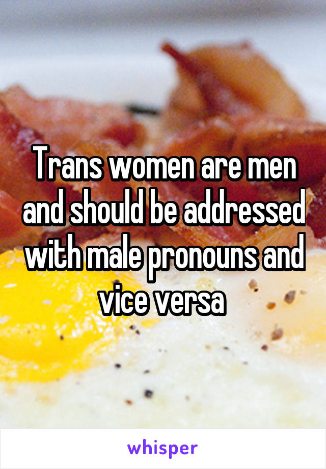 Trans women are men and should be addressed with male pronouns and vice versa 