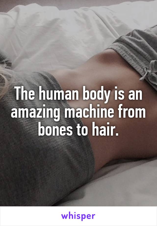 The human body is an amazing machine from bones to hair.