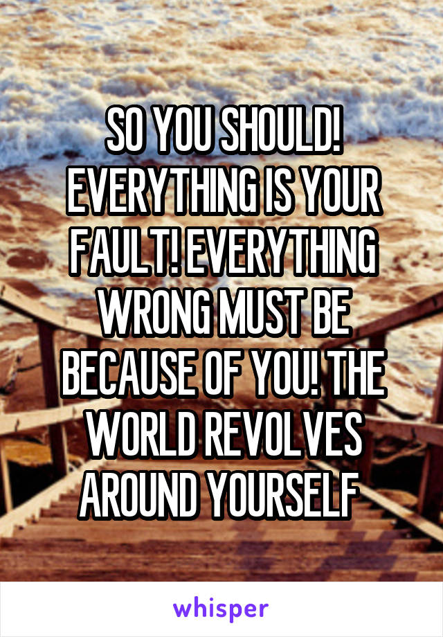 SO YOU SHOULD! EVERYTHING IS YOUR FAULT! EVERYTHING WRONG MUST BE BECAUSE OF YOU! THE WORLD REVOLVES AROUND YOURSELF 