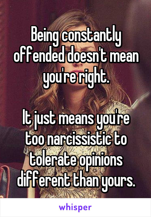 Being constantly offended doesn't mean you're right.

It just means you're too narcissistic to tolerate opinions different than yours.