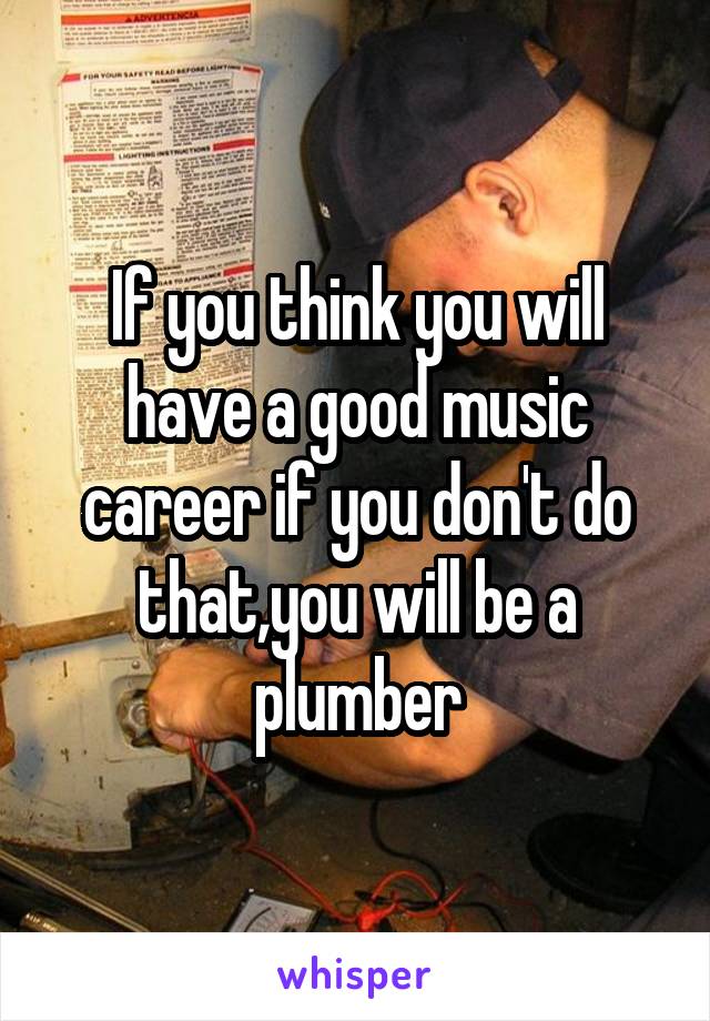 If you think you will have a good music career if you don't do that,you will be a plumber
