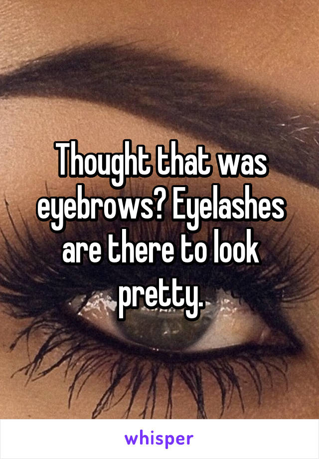 Thought that was eyebrows? Eyelashes are there to look pretty.