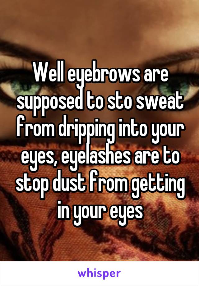 Well eyebrows are supposed to sto sweat from dripping into your eyes, eyelashes are to stop dust from getting in your eyes